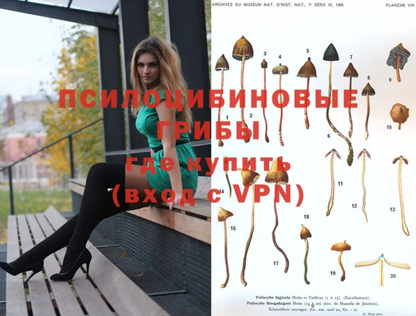 эйфоретик Алексин