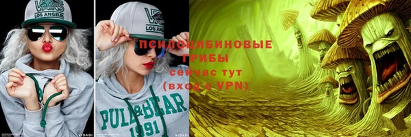 2c-b Алзамай