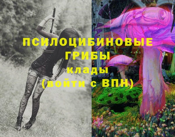 эйфоретик Алексин