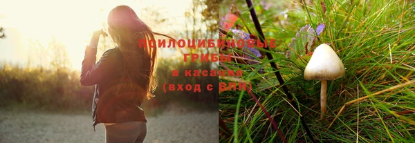 2c-b Алзамай
